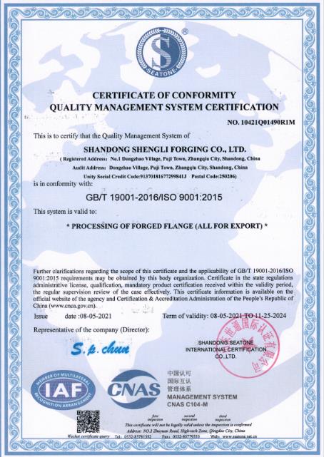 4000/3 フランジ SABS 1123 4000/3 Flange  SABS 1123