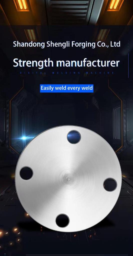 Produttore di flange Flange manufacturer