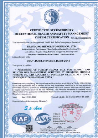 Occupational Health and Safety Management Systems