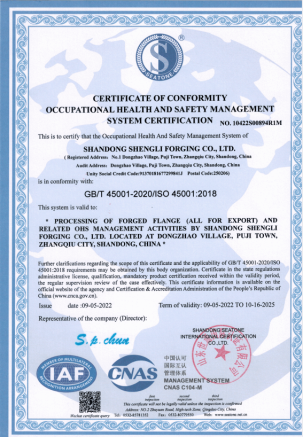 Occupational Health and Safety Management Systems