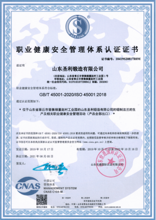 Occupational Health and Safety Management Systems