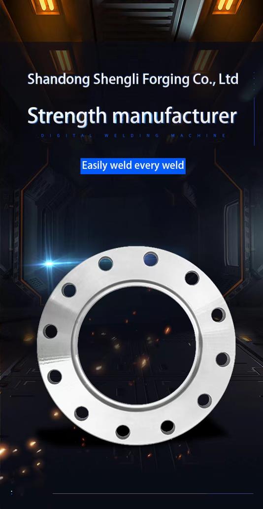 1600/3 Flange  SABS 1123 1600/3 Flange  SABS 1123